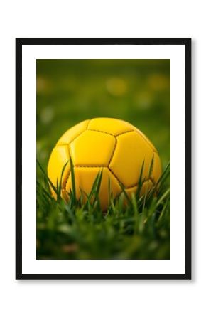 yellow soccer ball in the grass