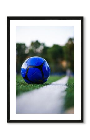 soccer football ball on the grass
