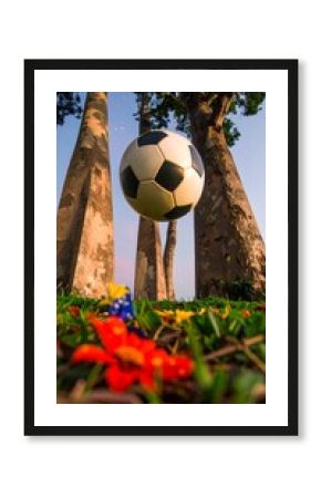 Low-angle view of soccer ball suspended mid-air above colorful flowers and tall trees