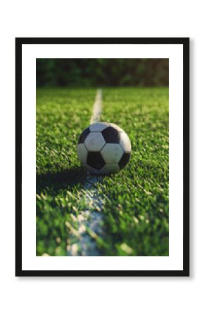 A soccer ball placed on the grassy field near the line, football as a team sport that requires great stamina and skill.