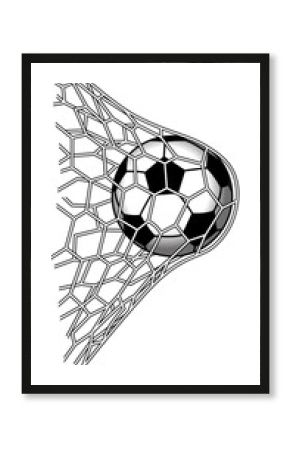 goal soccer ball in net