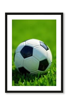 Soccer ball's dimples on fresh cut grass, soccer ball, green, nature scenes