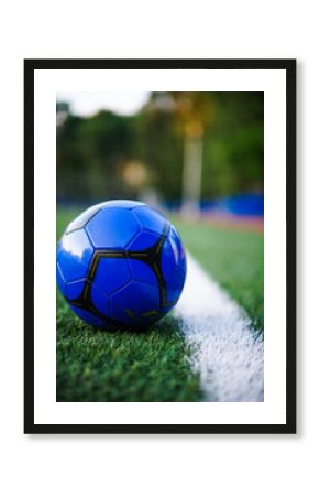 soccer football ball on grass