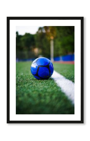 soccer football ball on grass
