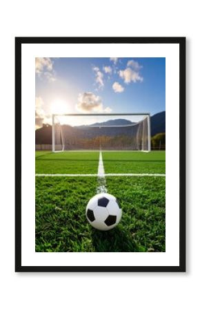 Soccer Field Goal View