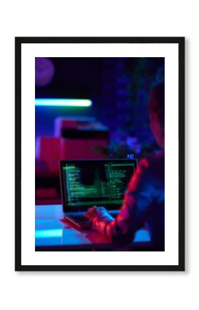 Seen from behind modern female with laptop developing program