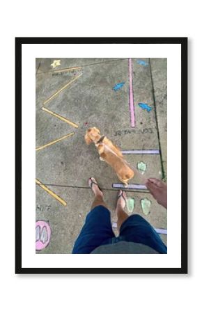 Person guiding dog on chalk obstacle course drawn on sidewalk with feet visible in flip flops