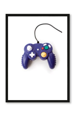 Video Game Controller