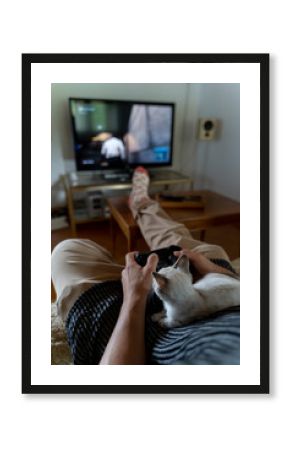 Barcelona, Spain, Man playing videogames in living room with cat on top