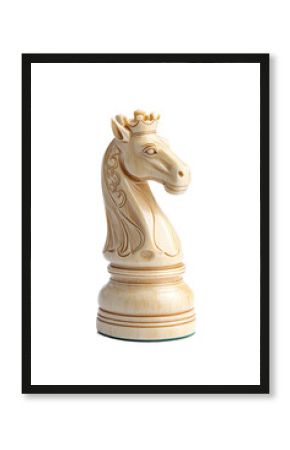 Isolated Chess Knight Piece