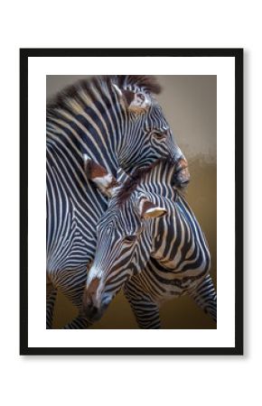 Two zebras with intertwined necks displaying bold black and white stripes, captured in close-up, natural lighting, wildlife scene
