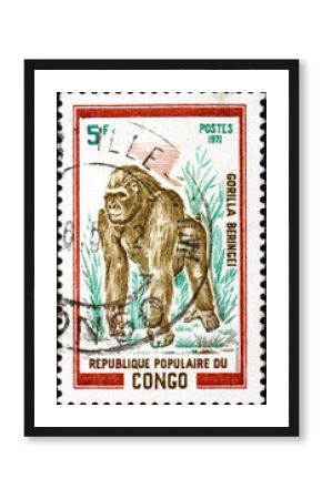 Postage stamp Congo 1972 gorilla, great ape that inhabit the tropical forests of equatorial Africa