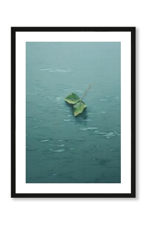 Minimal space a leaves outdoors floating nature.