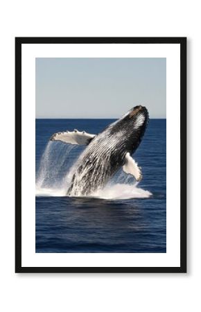 A majestic whale breaching the ocean surface