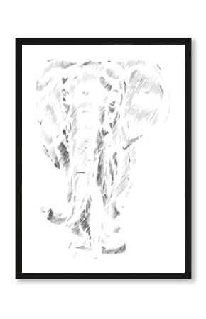 Elephant is being shown in pen-and-ink sketch with scribbled shading, transparent background