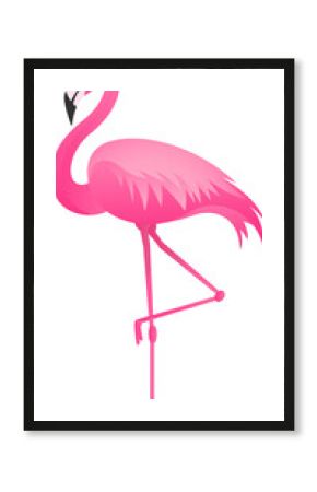 Stylized pink flamingo is balancing on one leg in flat design, transparent background