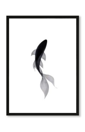 Fish with soft gradient tail swimming upward. Minimalist aquatic concept for zen, design, or calm visuals.