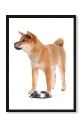 Cute Shiba Inu puppy with feeding bowl on white background