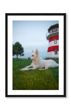 White fluffy dog lying on green grass near a red and white striped lighthouse by the sea, with trees and calm sky in the background, creating a peaceful coastal scene.