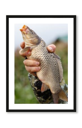 A person is holding a fish in their hand