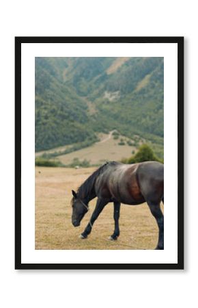 A graceful horse grazes in a sunlit meadow with rolling hills and distant mountains, creating a peaceful rural scene rich in natural beauty and calm atmosphere.