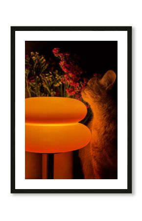 A domestic orange cat is sniffing dried flowers in a vase next to a cozy lamp