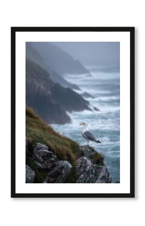 A single seagull stands on a windswept Irish cliff edge overlooking choppy Atlantic water under overcast sky.