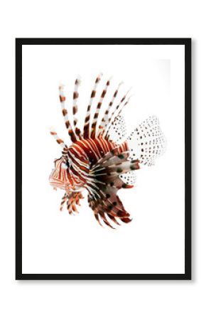 Lionfish with Striped Pattern and Spiky Fins