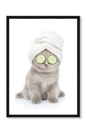 Funny kitten with slices of cucumber on it eyes and with towel on it head stands in front view. isolated on white background