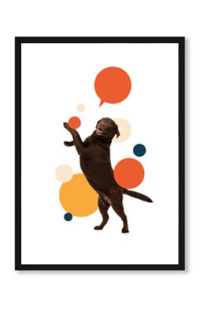 Contemporary art collage. Brown dog standing upright with excited expression surrounded by colorful speech bubbles on clean white background. Concept of pets care, domestic animals, grooming services.