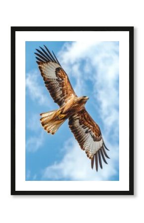 eagle soaring through a boundless sky, its wings outspread in glorious flight