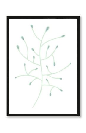 Minimalist botanical branch is showing coral-like shape and green buds on transparent background