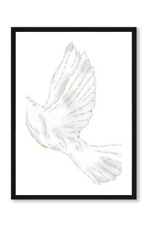 White dove is flying against transparent background in loose sketch style, showing feather details