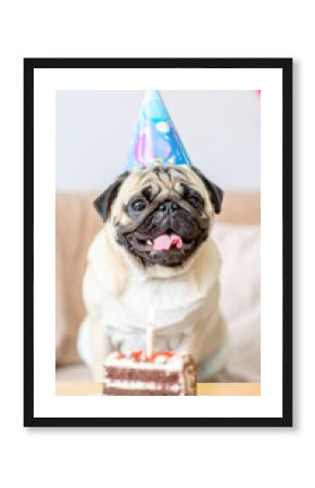 Mops feiert Geburtstag 