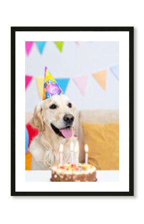 Hund feiert Geburtstag 