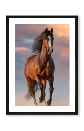 Horse Canter. Active Bay Stallion Enjoying Playtime in Sandy Field under Sunset Sky