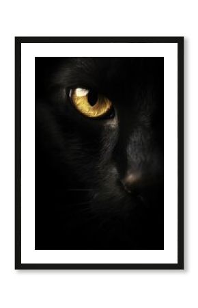 Close-up of a black cat's eye showing intricate details and intense gaze.