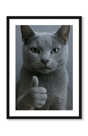 Gray cat giving thumbs up.