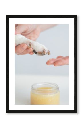 The owner puts wax on the dog's paws. 