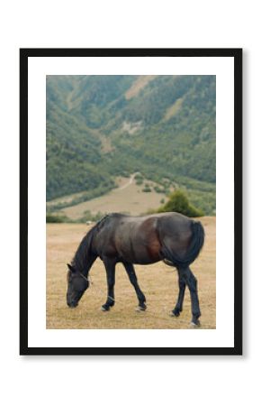 A lone horse grazes in a sunlit meadow beneath rolling hills, its dark coat glistening as it feeds peacefully, creating a calm and timeless rural scene.
