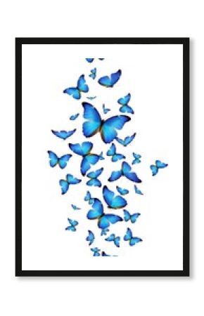 A cluster of blue butterflies is dispersed across a white background