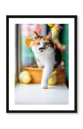 funny cute kitten sitting in a basket on a windowsill among flowers and colorful easter eggs