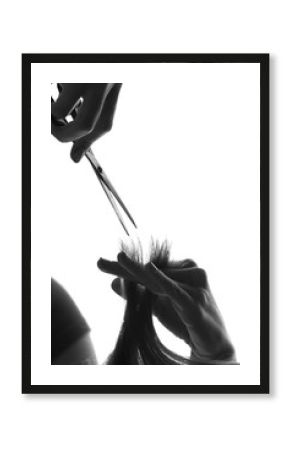 silhouette hairdresser cutting a client