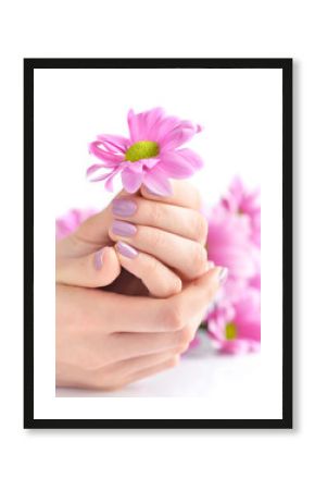 Hands of a woman with pink manicure on nails and pink flowers on a white background