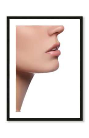 Beautiful full pink lips. Lipstick. Professional make-up