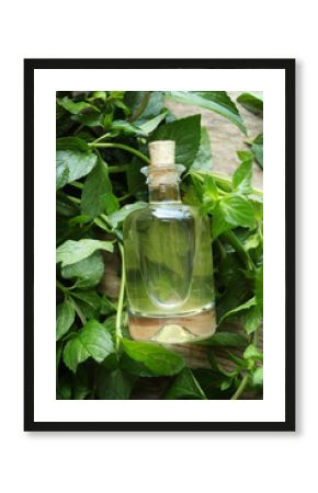 Bottle with mint oil and fresh leaves, closeup