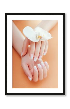 Ombre french manicure with orchid on orange background. Woman with white ombre french manicure holds orchid flower