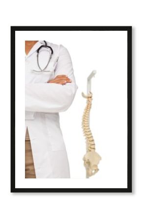 Mid section of a female doctor with skeleton model