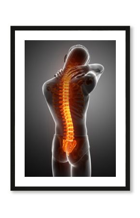 Male Feeling the back pain