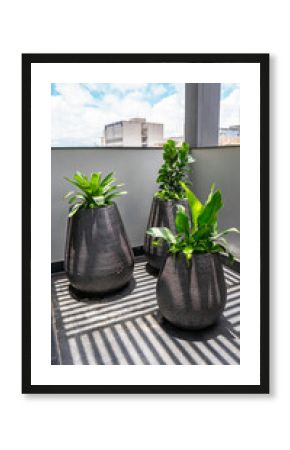 Plantas Vasos Decoração Decorativas Floricultura Paisagismo Móveis Escritório Interiores Consultório Móveis Planejados Arquitetura Design Interiores Funcional Atendimento Comercial Técnico